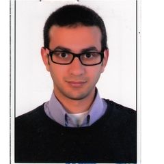 Assem Mokhtar, Process Engineer