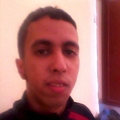 محمد الحسناوي, Freelance Programmer