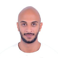 محمد الغمري, Sales & Business Development Manager