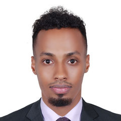 Abdalla Mustapha, Civil Structural Engineer