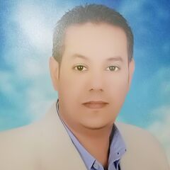 HASSAN NADY FADL,  Project Manager
