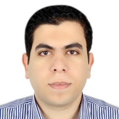 mahmoud fahmy, Area Sales Manager