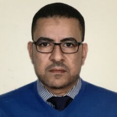Nasser  Ibrahim , Key Account Manager