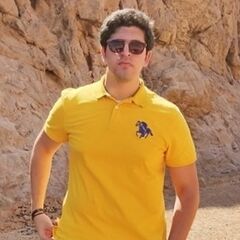 Mostafa Fouad
