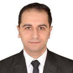 Heshaam Elhenawy, HSE Engineer