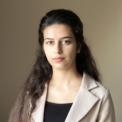 Areej Sehnawi