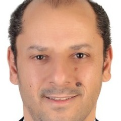 راضى عبدالحميد, مهندس استشاري