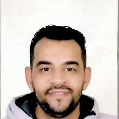 محمد محمود