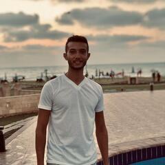 Mohamed Hossam Mohamed, Waiter