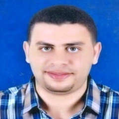 Alaa Ahmed Aly, HR Officer