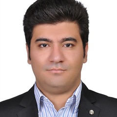 ساسان Karimiyeh, Electronics Expert