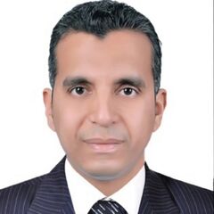 Ayman Salem Abd EL Moteleb Hamed, Maintenance Manager