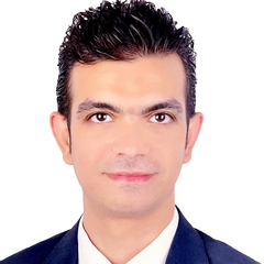 Ahmed ELSayed AbdelHafez