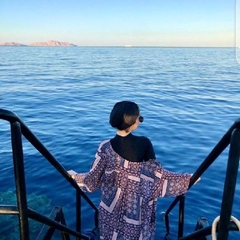 Enas hamada, محاسب مالي