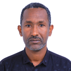 Addisbirhan Hilegebriel Tadesse