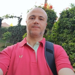 Ahmed Hosny, E-Commerce Manager
