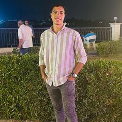 كريم أمين محمد