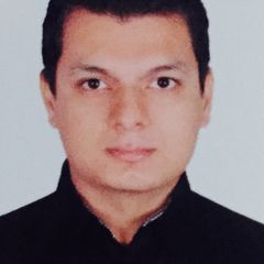 Ankesh Khanduri, IT Consultant (Information Technology Consultant)