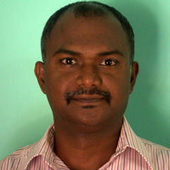 Shyamlal Padmanabhan, Senior Insurance Analyst