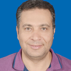 Mohamed Abdel Hady, Lab Supervisor 