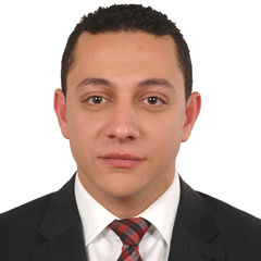 Mostafa Hammouda, Financial Director