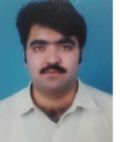 Waqar Habib, System Analyst, Sr Software Engineer
