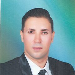 Mostafa Fawzy Aly Mohamed Nakhla, Accountant