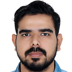 Ankur Paliwal, Business Finance Senior Analyst