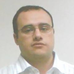 Essam Ali, Software Architect