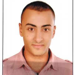 Alaa Badawy, Store Manager
