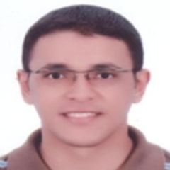 Tarek Ahmed Wahab, project procurement manager