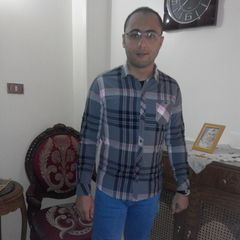 أحمد فتحي, Internal auditor