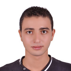 Abdallah Samy, software engineer technical lead
