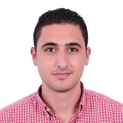عمر سيف الدين, Security Operations Engineer L2                     