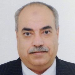 سمير النويرى, CFO