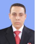 Amr Ramadan Fathallah Fouda, Group Credit Controller