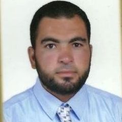 Mohamed Kamel Mohamed Badr, محاسب مالى