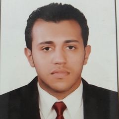 Mahmoud Ahmed Salem Ahmed