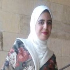 هبة الله سمير العدلي بدر, project coordinator