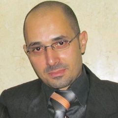 Wael Mahmoud Ali El-Melegy, Senior Data Analyst Consultant