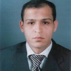 Mohamed Rayan, مدير مالى وادارى ورئيس قطاع