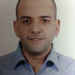 Walid Mohamed elagamy, Senior Tax & AP Accountant