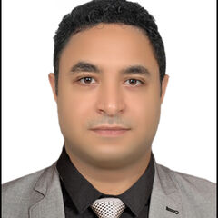 Walid Mohamed