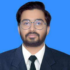 Muhammad Hunbal Riaz, Research Executive (Senior Recruiter)