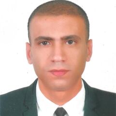 شادي أحمد, Sales Executive