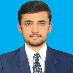 Muhammad Anees  Badar Khan , procurement and logistics officer