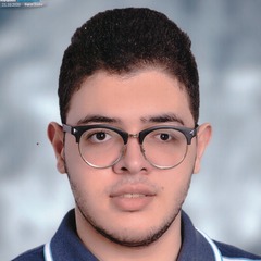 Abdoo Hossamm, Software Developer