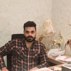 Emad suliman, Accountant