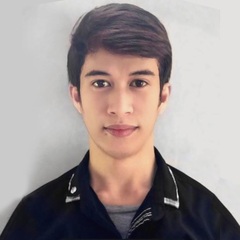 Arjay Narciso, Data Analyst