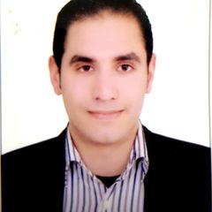 حازم محمد حسن حسن حسن, senior internal auditor 